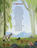 Кто живёт в лесу? Иллюстрированный атлас животных — фото, картинка — 1