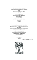 Огненный ангел — фото, картинка — 9