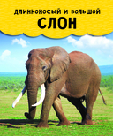 Животные — фото, картинка — 10