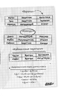 Академия Чемпионов. Путь к мечте — фото, картинка — 8