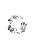 Обыкновенное чудо — фото, картинка — 1