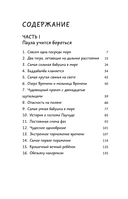 Баддабамба и Остров времени. Книга 1 — фото, картинка — 4