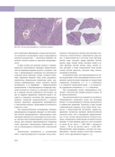 Судебная медицина — фото, картинка — 11