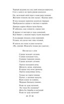 Нам светят звезды золотые. Поэты Серебряного века как переводчики — фото, картинка — 22