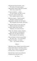 Нам светят звезды золотые. Поэты Серебряного века как переводчики — фото, картинка — 38