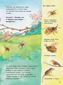 Как живёт пчёлка. Познавательные истории — фото, картинка — 2