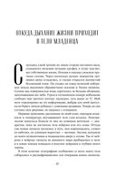 Живое и неживое. В поисках определения жизни — фото, картинка — 22