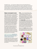 Лепка из полимерной глины. От браслета до подсвечника. Базовый курс для начинающих — фото, картинка — 8