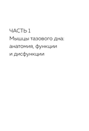 Мышцы тазового дна. Почему каждой женщине нужно знать, где они находятся и как их тренировать — фото, картинка — 15