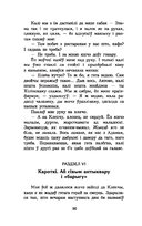 Чорны замак Альшанскі — фото, картинка — 7