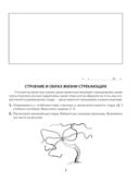 Рабочая тетрадь по биологии для 8 класса — фото, картинка — 4
