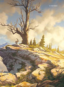 Теория рисунка. Основные приниципы и понятия — фото, картинка — 37