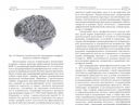 Нейропсихология антиципации-II — фото, картинка — 1