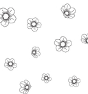 Прекрасные цветы. Нежная раскраска для вдохновения — фото, картинка — 1