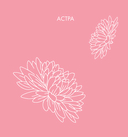 Прекрасные цветы. Нежная раскраска для вдохновения — фото, картинка — 3