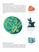 Профессия – палеонтолог. От камня до динозавра — фото, картинка — 13