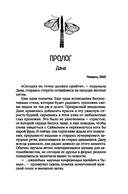 Искра надежды в эпоху отчаяния — фото, картинка — 7