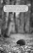 Химия без преград — фото, картинка — 18