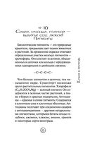 Химия без преград — фото, картинка — 26