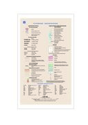 Атлас общегеографический. Гомельская область (с рельефом) — фото, картинка — 1