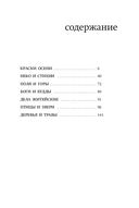 Осень. Хайку — фото, картинка — 4