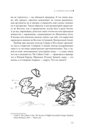 Перевоспитание маркетинга. Этикет для маркетологов будущего — фото, картинка — 15