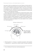 Не корми свою тревогу. Как питание влияет на наше настроение — фото, картинка — 29