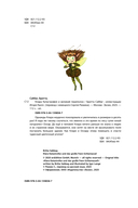 Клара Катастрофея и великий переполох — фото, картинка — 1