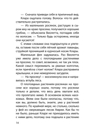 Клара Катастрофея и великий переполох — фото, картинка — 11