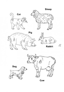 Я учусь читать. От слова к слову. Английский для детей — фото, картинка — 6