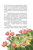 Клара Катастрофея и лесное волшебство — фото, картинка — 8