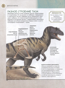 Динозавры. Полная энциклопедия — фото, картинка — 4