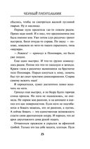 Чёрный треугольник — фото, картинка — 24