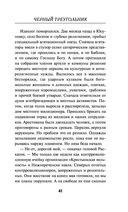 Чёрный треугольник — фото, картинка — 40