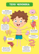 Вирусы и микробы. 10 познавательных плакатов — фото, картинка — 2