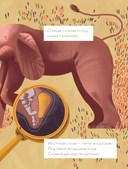 Слоны идут! — фото, картинка — 2