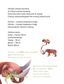 Слоны идут! — фото, картинка — 3