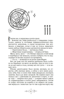 Долгая ночь — фото, картинка — 15