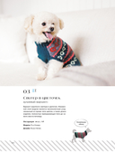 Family look. Я и моя собака. Вяжем крючков и спицами. 30 стильных проектов для питомцев и их хозяев — фото, картинка — 8