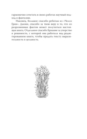 ЗаГРИБные истории. Тайны подземного царства — фото, картинка — 12