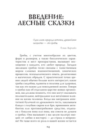 ЗаГРИБные истории. Тайны подземного царства — фото, картинка — 13