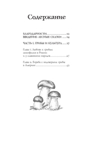 ЗаГРИБные истории. Тайны подземного царства — фото, картинка — 5