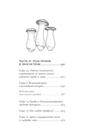 ЗаГРИБные истории. Тайны подземного царства — фото, картинка — 8