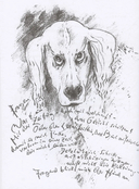 Глупый август — фото, картинка — 11