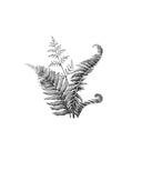 Колодец забытых желаний — фото, картинка — 1