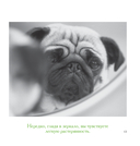 Едет крыша от диеты — фото, картинка — 6