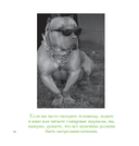 Едет крыша от диеты — фото, картинка — 7