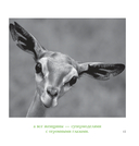 Едет крыша от диеты — фото, картинка — 8