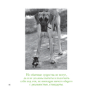 Едет крыша от диеты — фото, картинка — 9