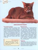 Энциклопедия. Кошки — фото, картинка — 2